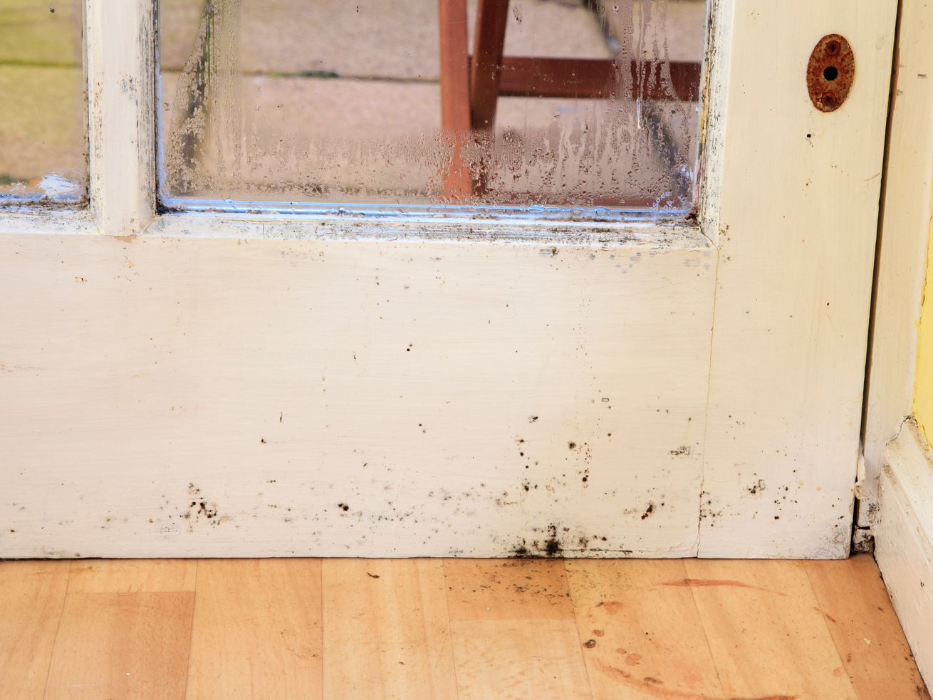 How to Remove Mold From Wood American Homeowners Association