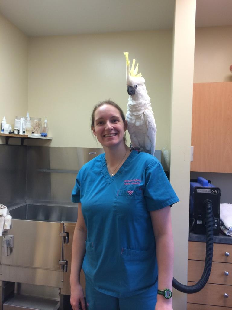Asheville Highway Animal Hospital, LLC — Boarding