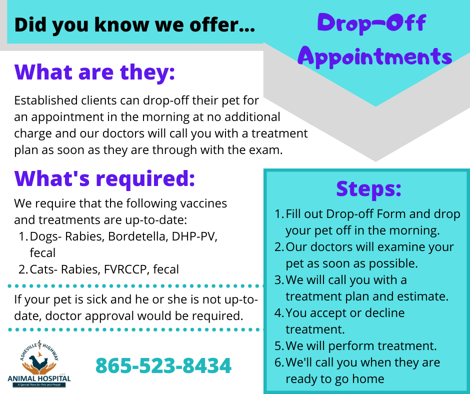 Asheville Highway Animal Hospital, LLC — A special place for Pets and