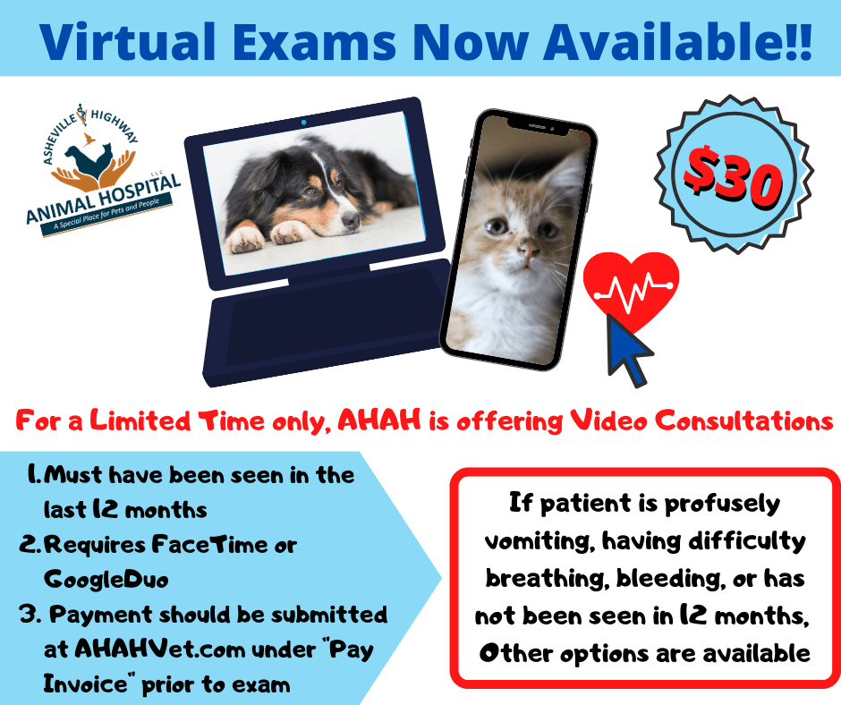 Asheville Highway Animal Hospital, LLC — A special place for Pets and