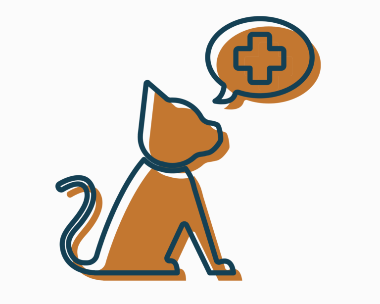 Asheville Highway Animal Hospital, LLC — Veterinary Medical Services