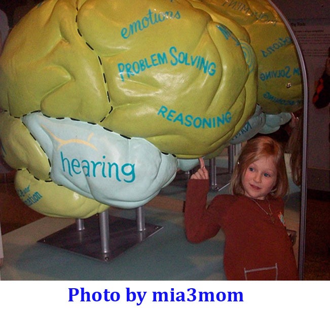 5 strategies to effectively use your ‘plastic brain’ Heal With Ahantaa