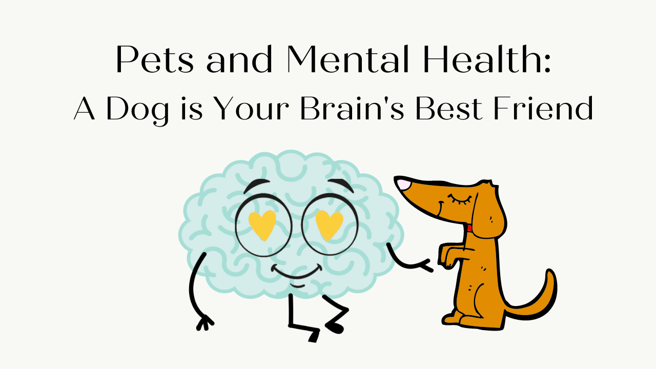 Pets and Mental Health A Dog is Your Brain’s Best Friend A Happy Brain