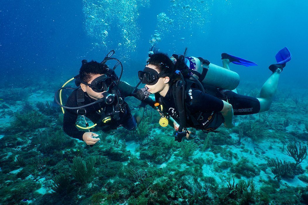 Best Discover Scuba Diving Beginners Cancun A' HA' Scuba Diving