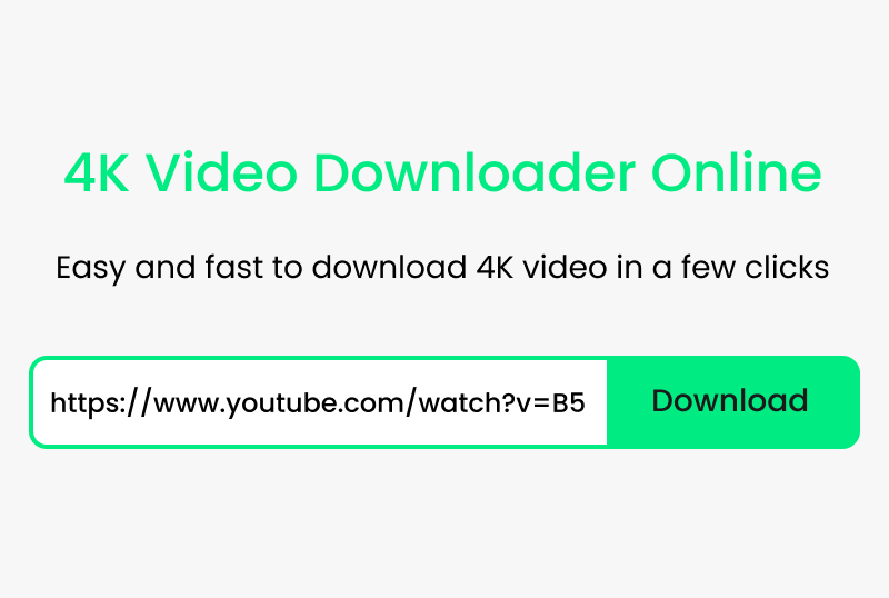 Best 4K Video Downloader Download 4K Video Online