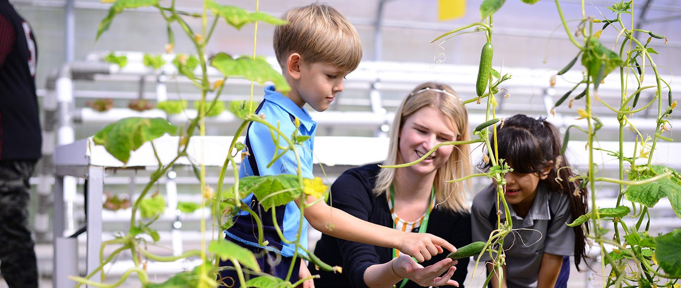 Best British Curriculum School in Abu Dhabi Aspen Heights Britsh School