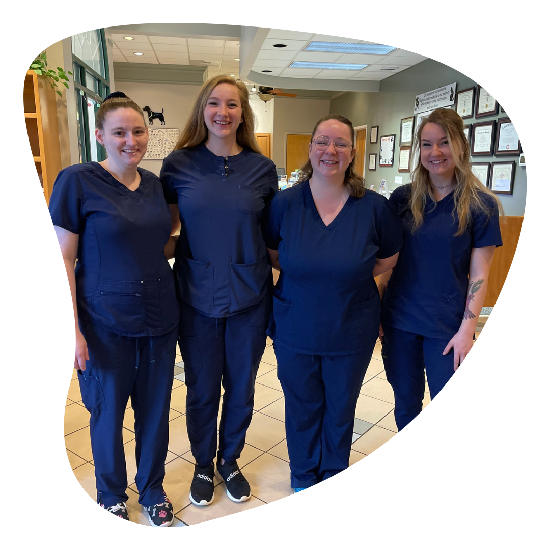 Careers Animal Health Care Center