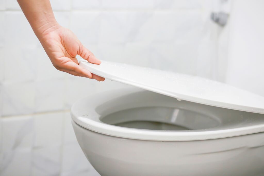 Should you leave the toilet lid up or down when you flush? health enews