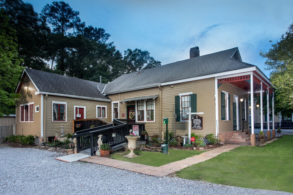 Slideshow Vet in Covington Animal Health Clinic