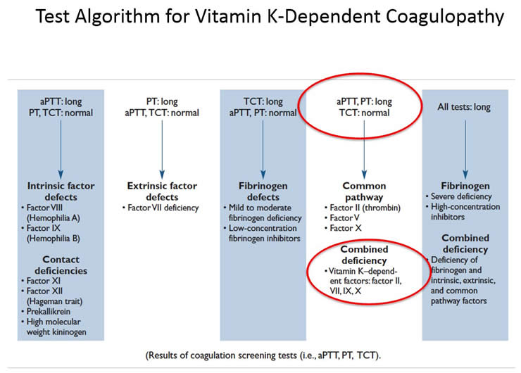 Vitamin K Dependant Coagulopathy Diagrams