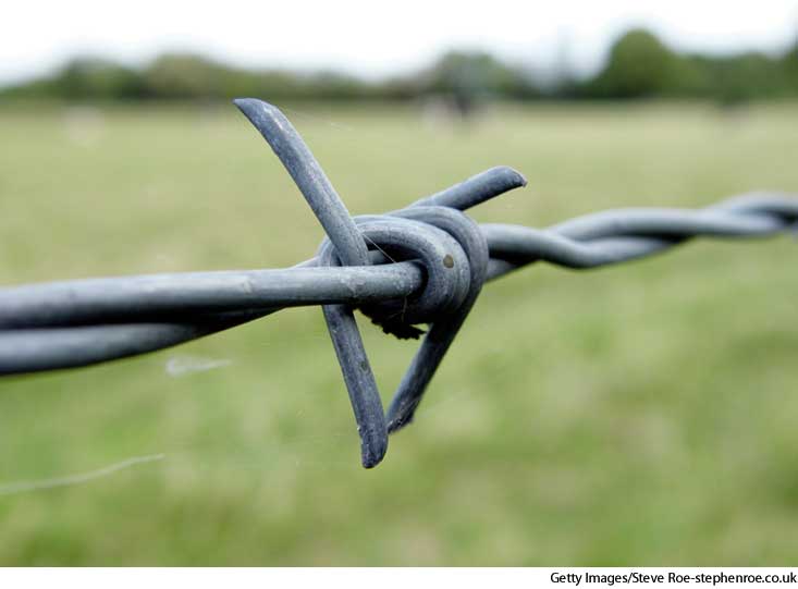 American Heritage Dictionary Entry barbed wire
