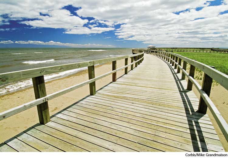 American Heritage Dictionary Entry boardwalk