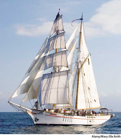 American Heritage Dictionary Entry brigantine