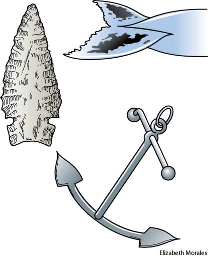 American Heritage Dictionary Entry: fluke