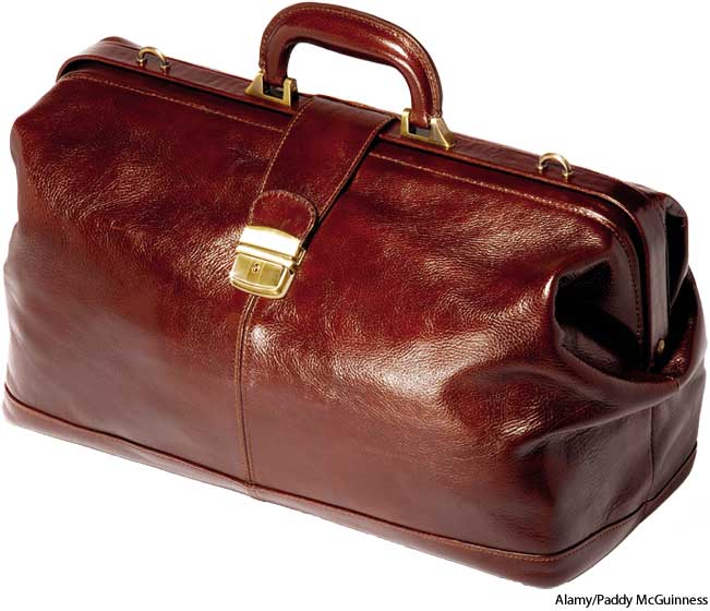 American Heritage Dictionary Entry Gladstone bag