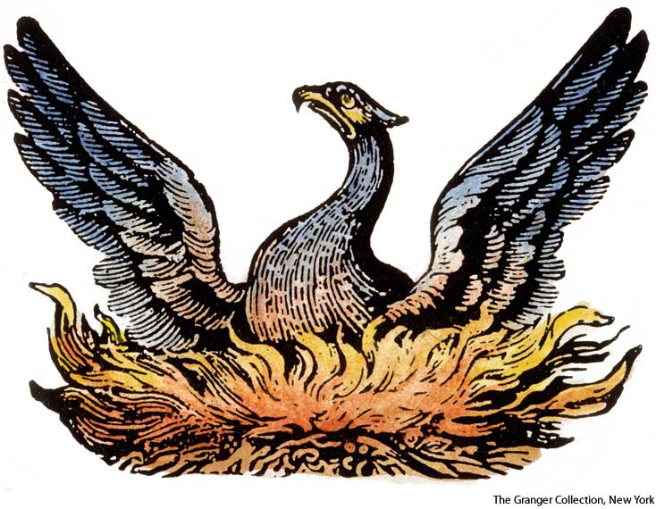 American Heritage Dictionary Entry Phoenix