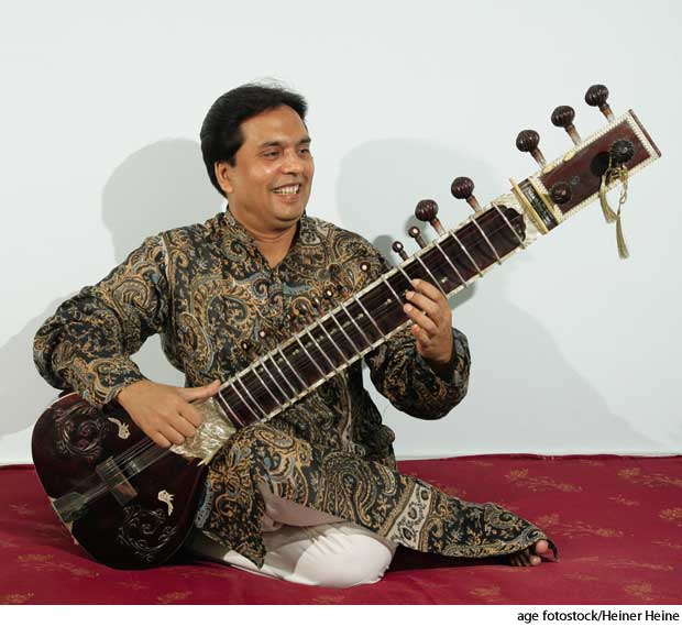 American Heritage Dictionary Entry sitar