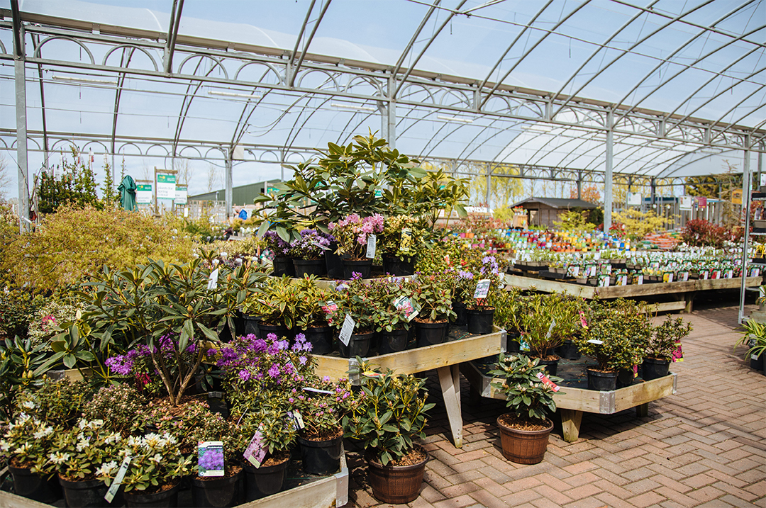 Plant Guarantee Essex Meadow Croft Garden Centre Meadow Croft
