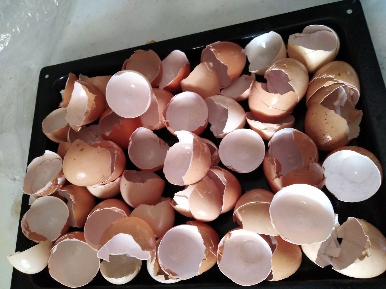 How to Make Calcium Powder from Eggshells Ah Grow