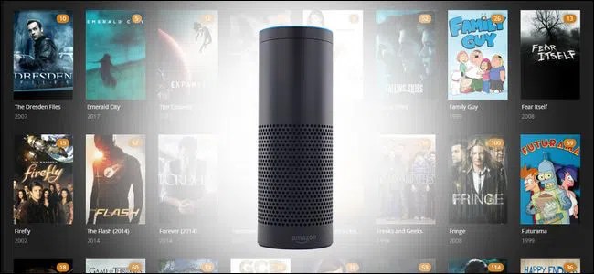 Amazon echoでplex media centerを制御する方法