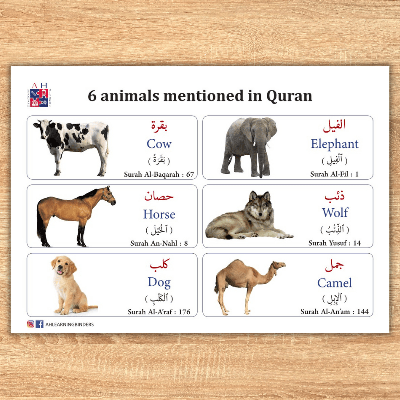 Animals mentioned in Quran AH Learning Binders