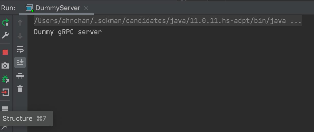 gRPC Java 환경구성하기, Dummy Service 만들기 Ahnchan