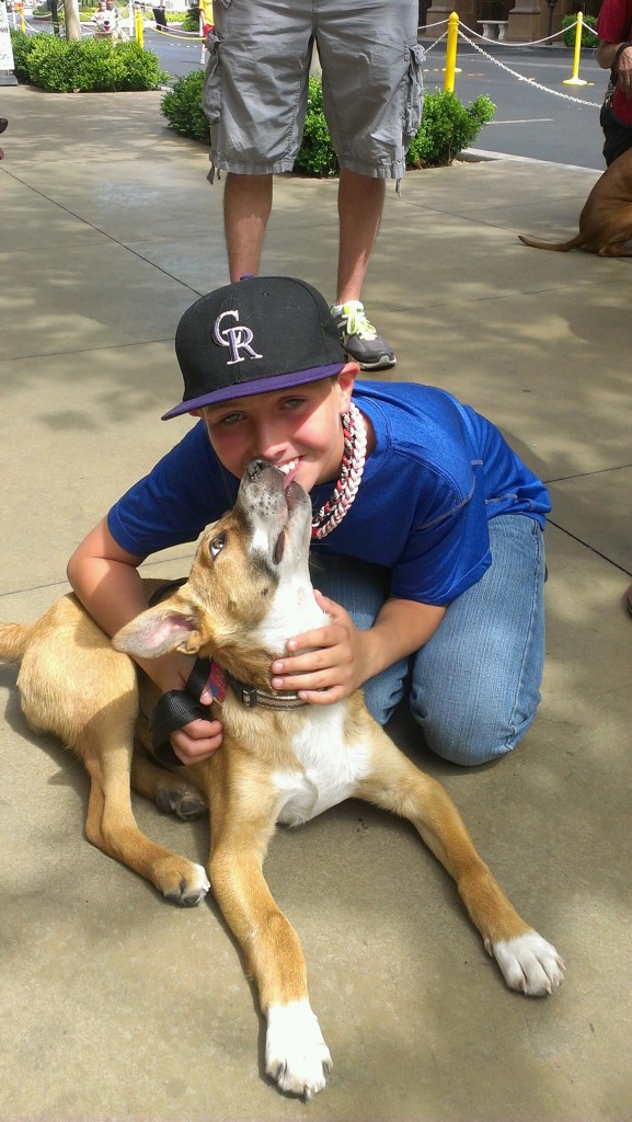 Happy Tales A Home 4 Spot Animal Rescue Las Vegas, NV