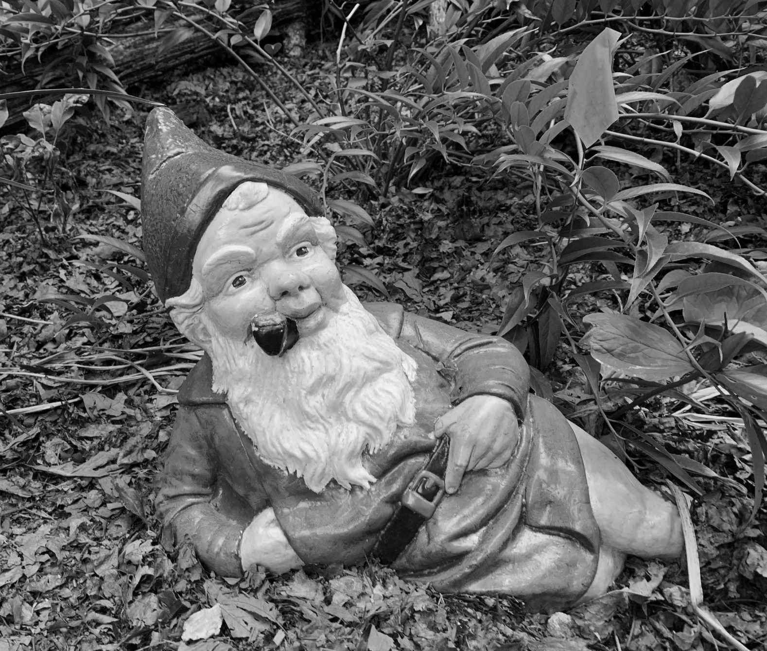 Gnomes & Whimsy A Home for Your Gnome