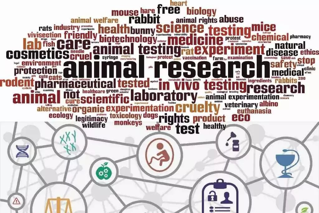 AHRECS and Animal Ethics AHRECS