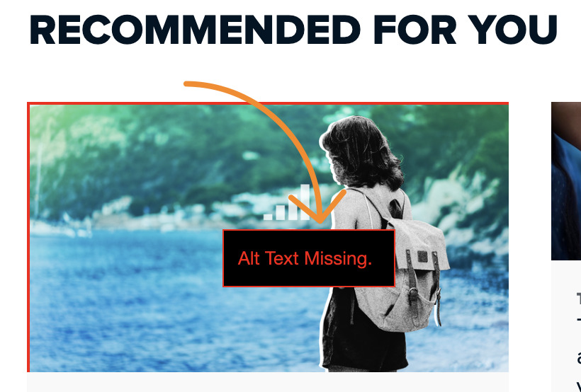 AltText und SEO Wie du deine Bilder optimierst