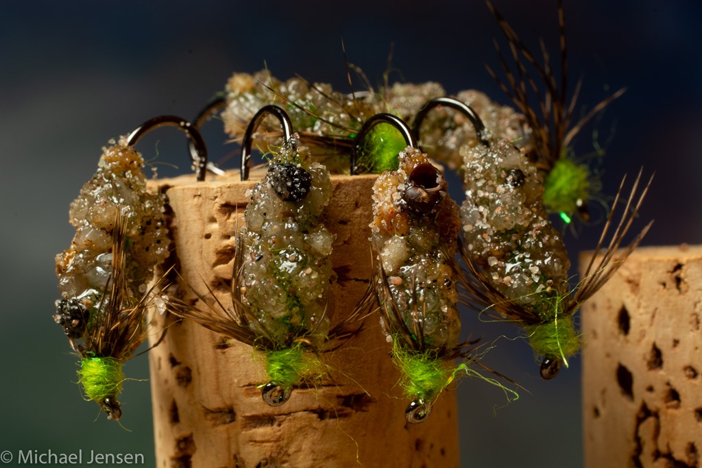 Caddis Case Larvae Ahrex Hooks