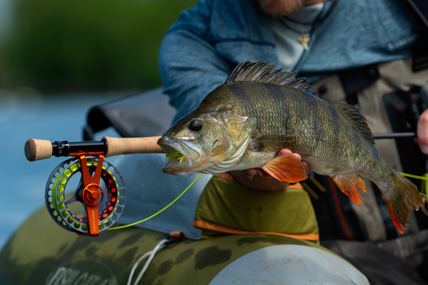 Summer perch on the surface… and below Ahrex Hooks