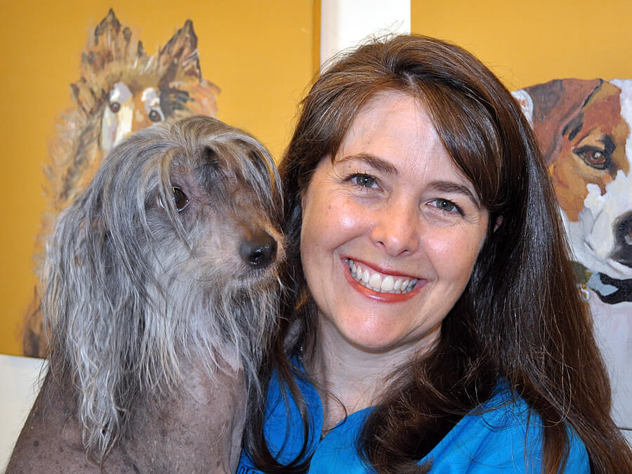 Atlanta Pet Hospital Tour Animal Hospital of Sandy Springs