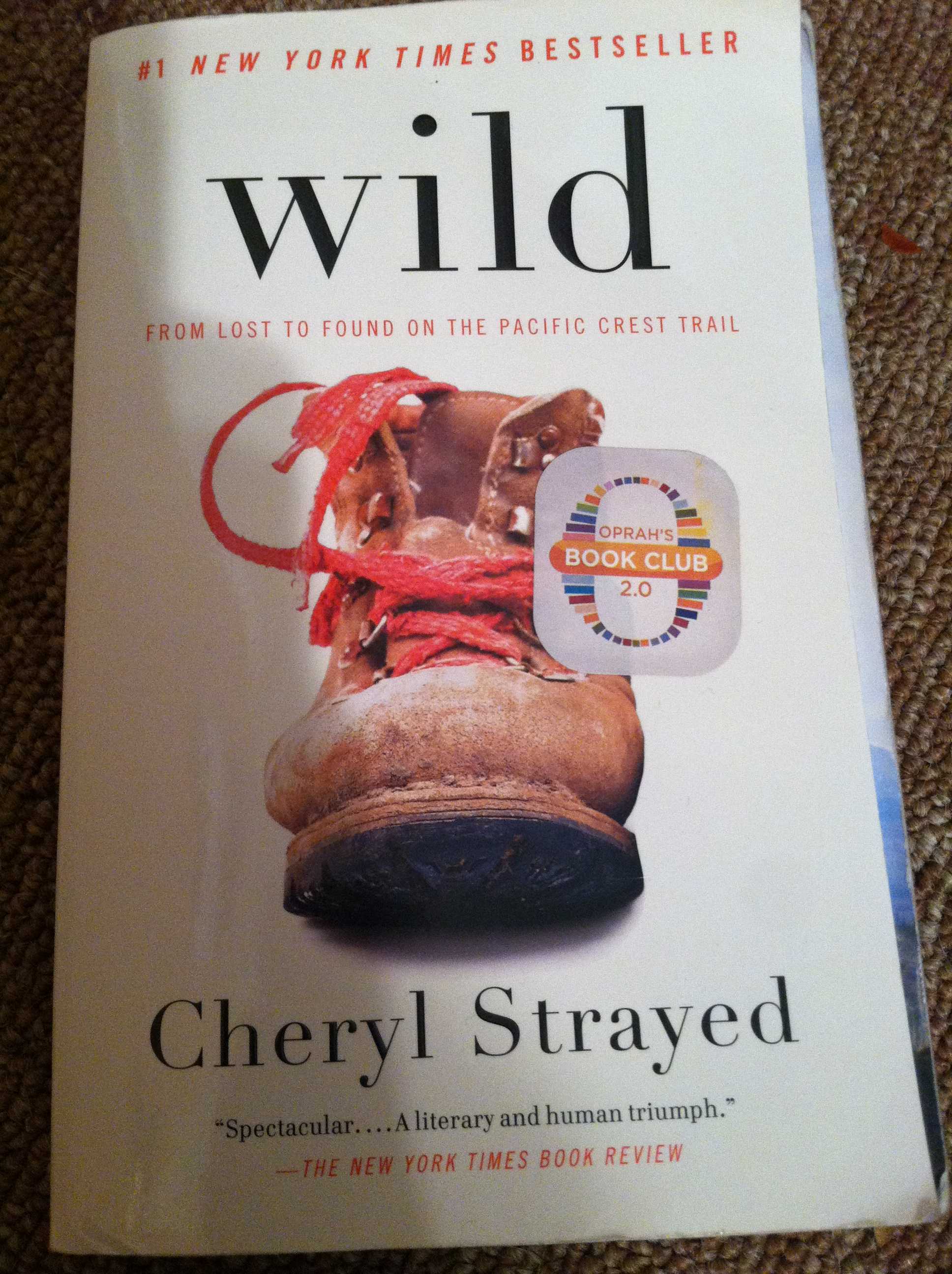 Wild by Cheryl Strayed Plot Summary LitCharts