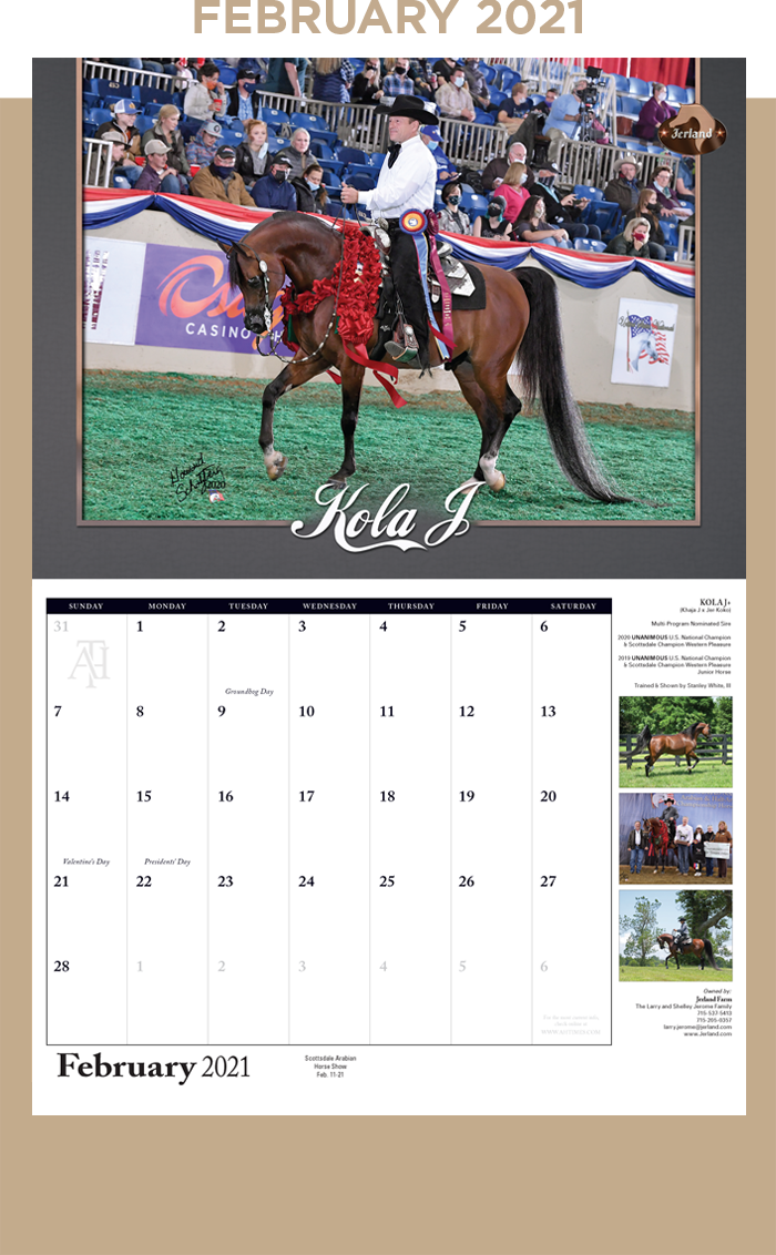 Kola J Arabian Horse Times