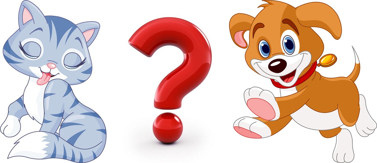 Are you a cat or a dog? Daily Dose Of Fun