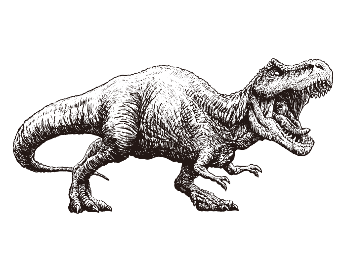 Dinosaur Tyrannosaurus Rex 03 / Whole body / Drawing ai
