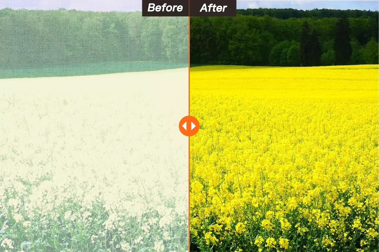 Image Dehaze Effortless Removal of Haze From Your Images Using AI