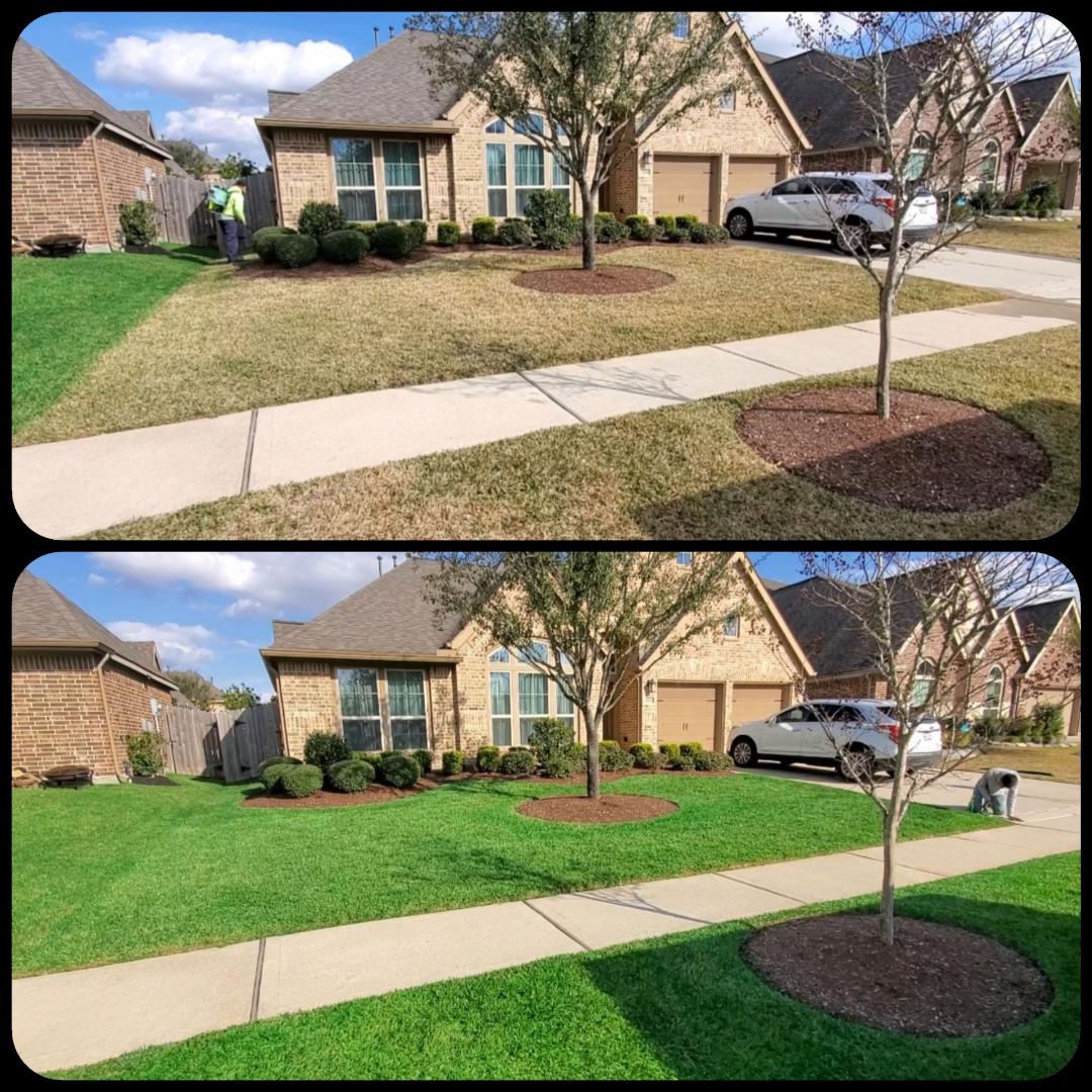 Turf Tint Lawn Painting Service