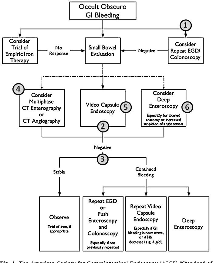 Figure 1 from The American Society for Gastrointestinal Endoscopy (ASGE