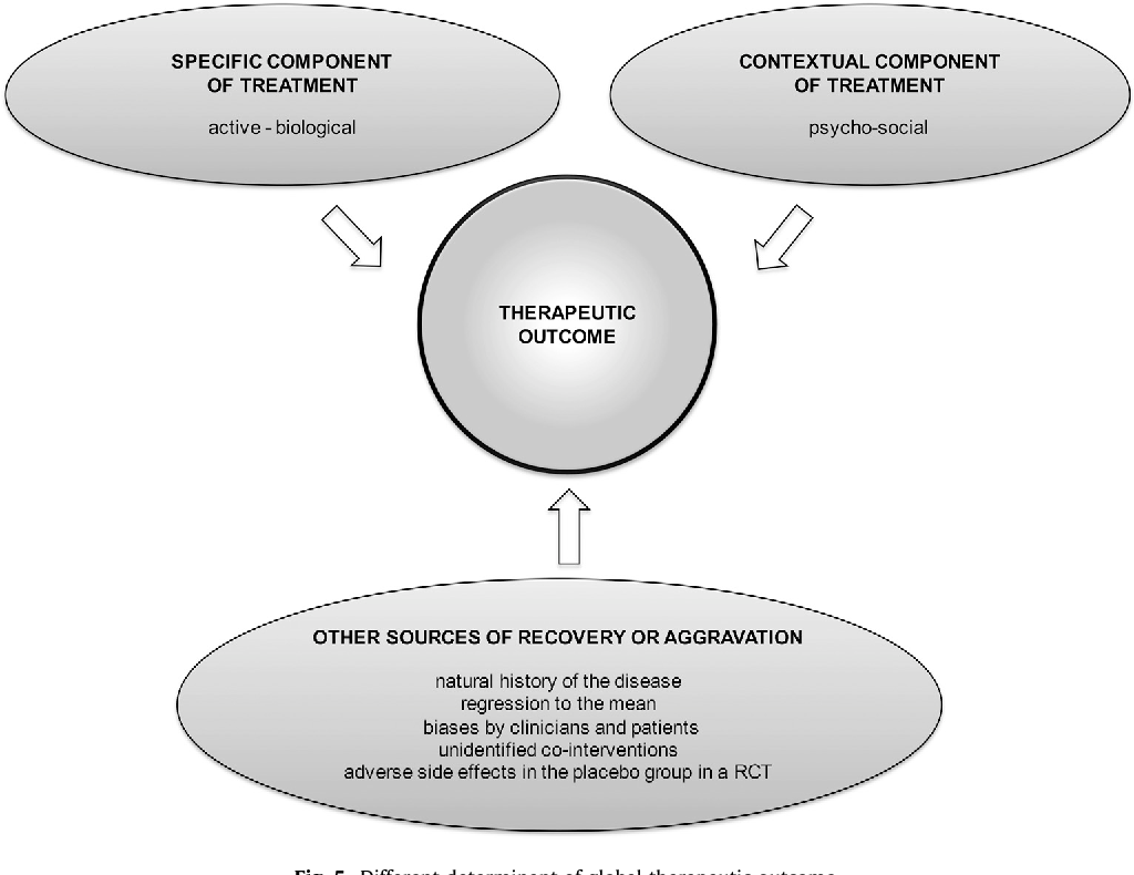 Figure 5 from Enhance placebo, avoid nocebo How contextual factors