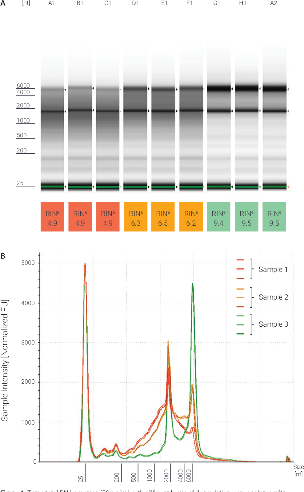 Figure 1 from Performance Equivalence of the RNA ScreenTape Assays on