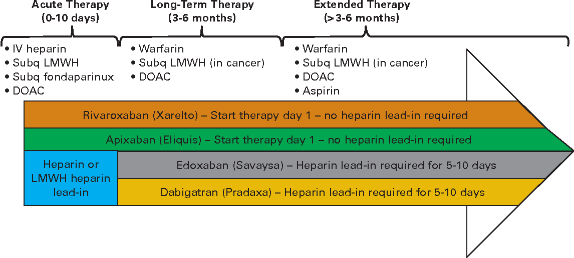 Is Xarelto A Low Molecular Weight Heparin Blog Dandk