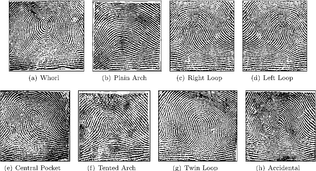 Figure 1 from Fingerprint classification a review Semantic Scholar