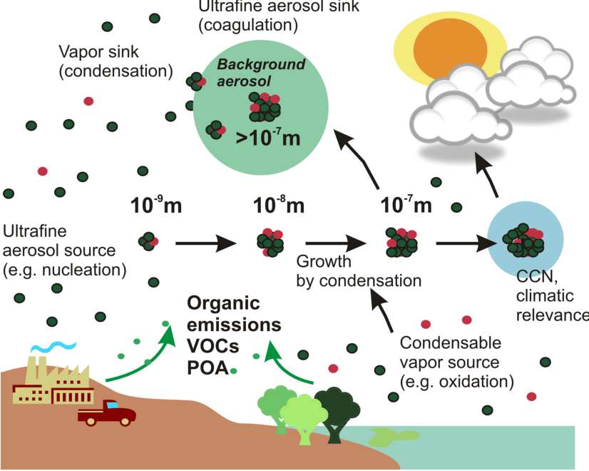 Figure 1 from Organic condensation a vital link connecting aerosol formation to cloud