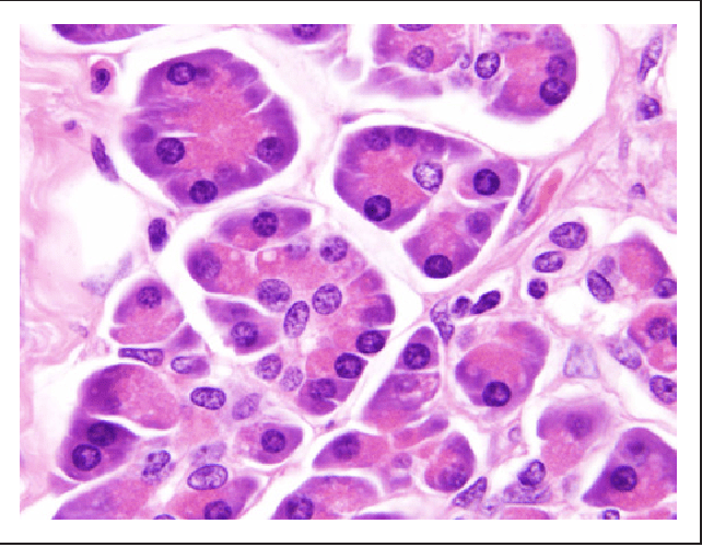 Figure 3 from The Wonderful Colors of the HematoxylinEosin Stain in