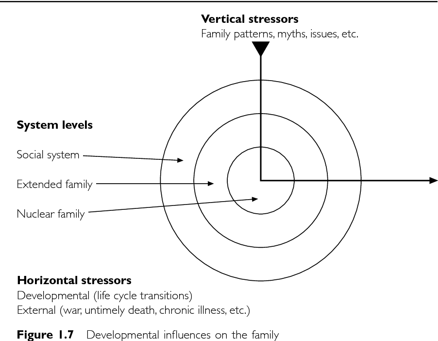 Figure 1.7 from An Introduction to Family Therapy Systemic Theory and