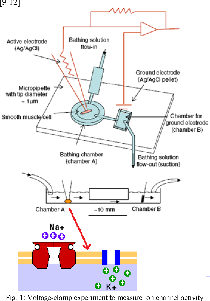Figure 1 from Failure mode and effect analysis of patch
