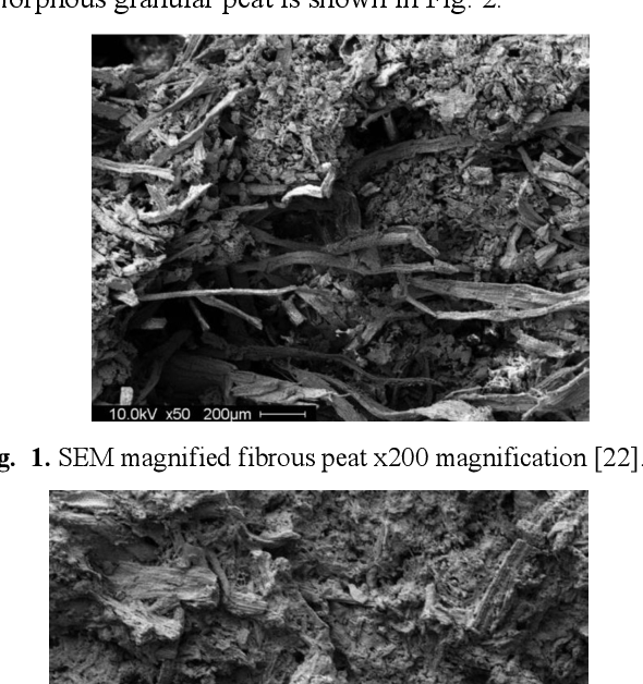 Figure 1 from Analysis of peat soil testing errors based on its