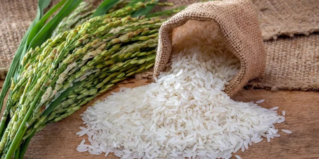 Perfect Rice and Grains: A Step-by-Step Guide Perfect Rice and Grains: A Step-by-Step Guide